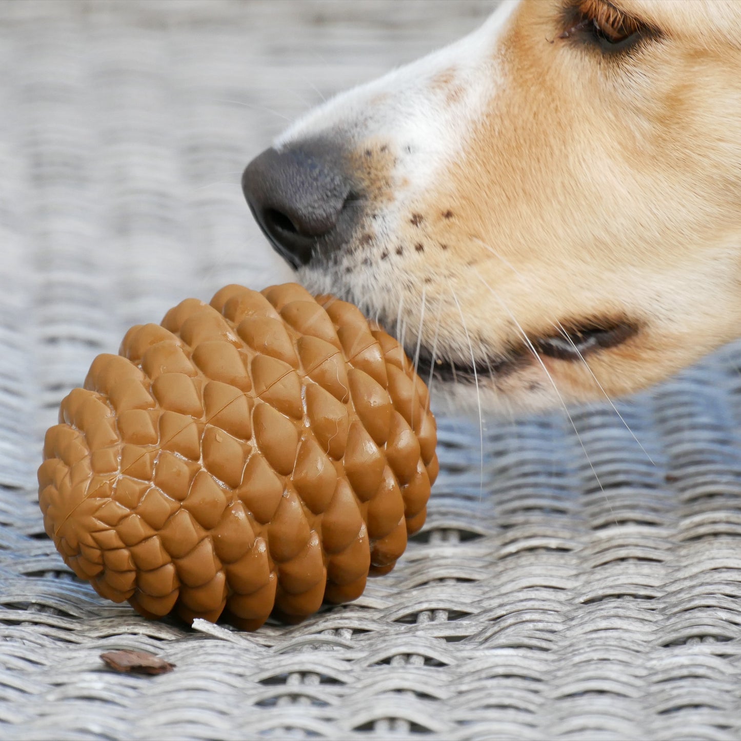 Pinecone Toy