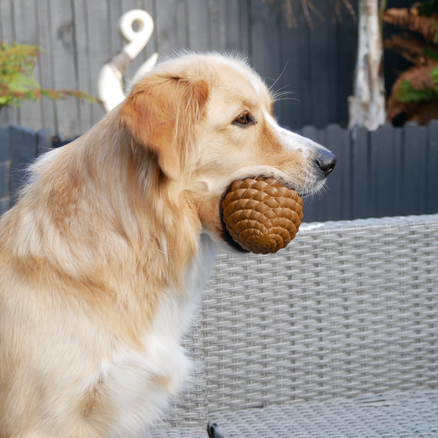 Pinecone Toy