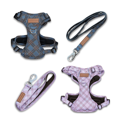 Double Signature Harness & Leash